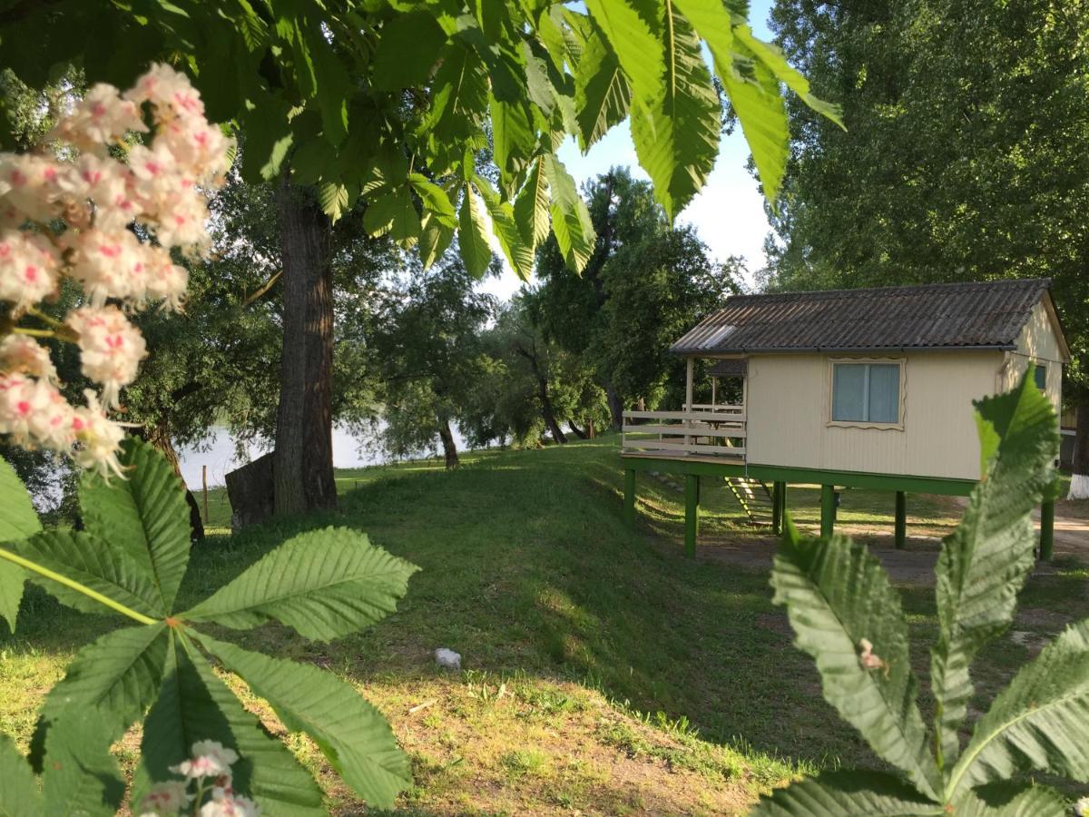 Bungalow Park Hotel Szentendre Eksteriør billede